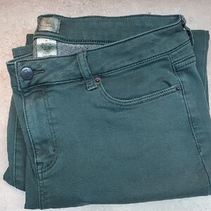 Dressbarn Dark Washed Green Women’s Jeans